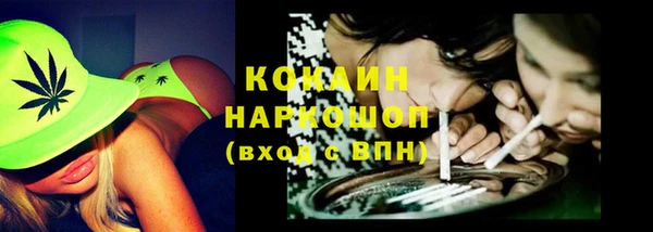 индика Алзамай