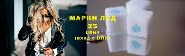 индика Алзамай