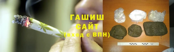 индика Алзамай
