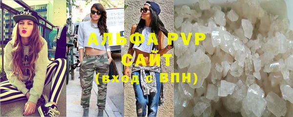 индика Алзамай