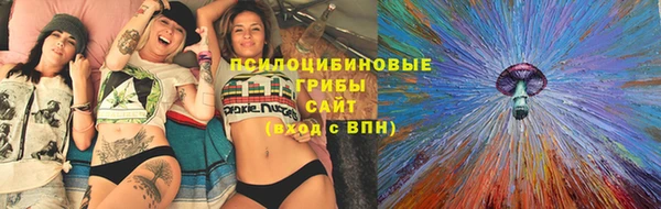 синтетический гашиш Алексеевка