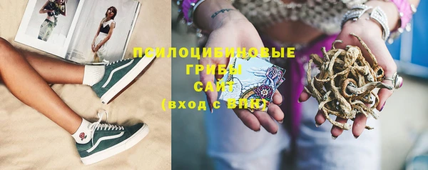 индика Алзамай
