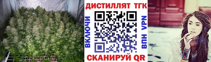 купить наркотик  Ковров  Дистиллят ТГК гашишное масло 
